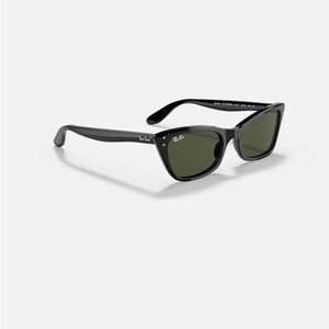 Ray-Ban Wayfare Sunglasses